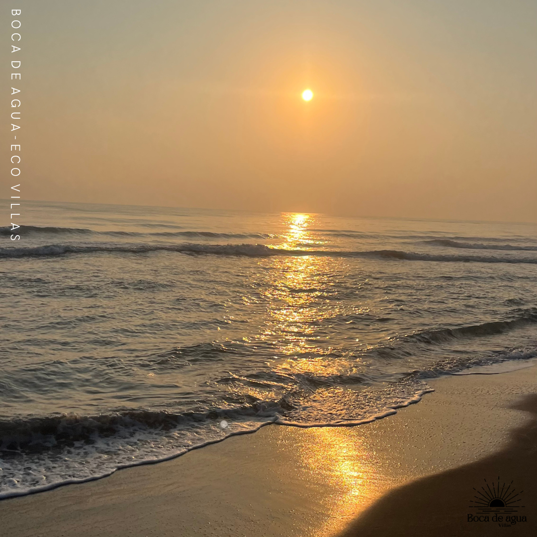 Click en la Foto para más